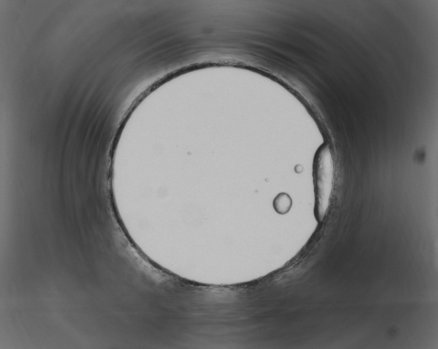 X0000115710799200912241542