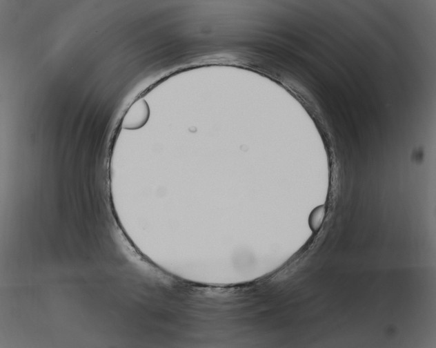 X0000115710800200912241542