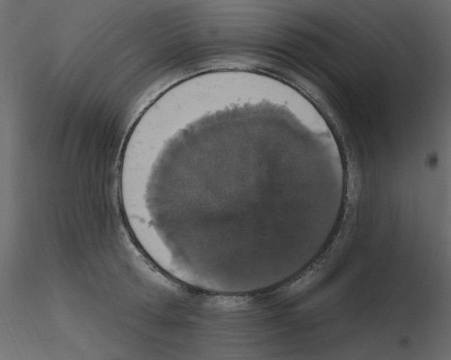 X0000115710802200912241542