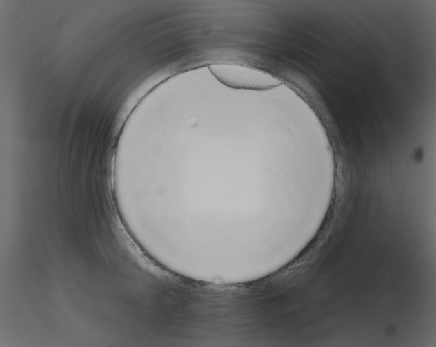 X0000115710804200912241542