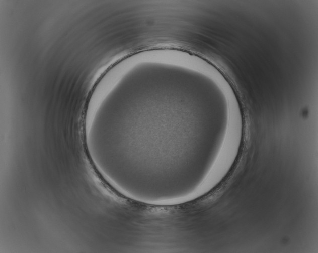 X0000115710806200912241542