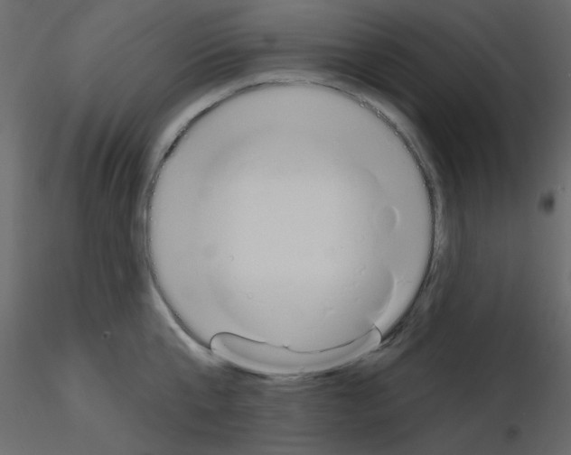 X0000115710807200912241542