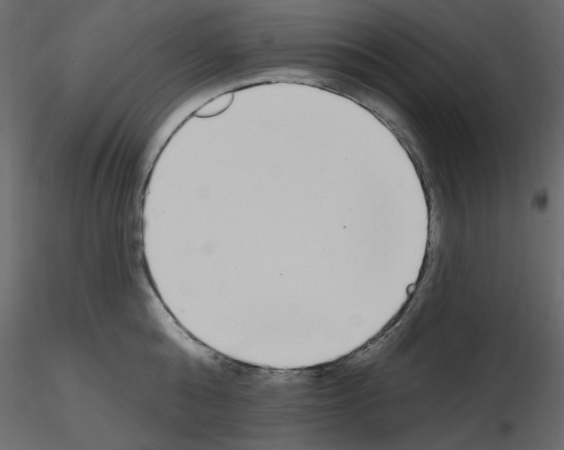 X0000115710808200912241542