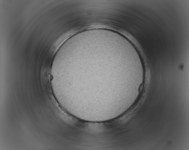 X0000115710809200912241542