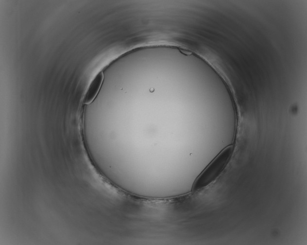 X0000115710813200912241542