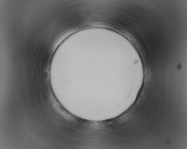 X0000115710814200912241542