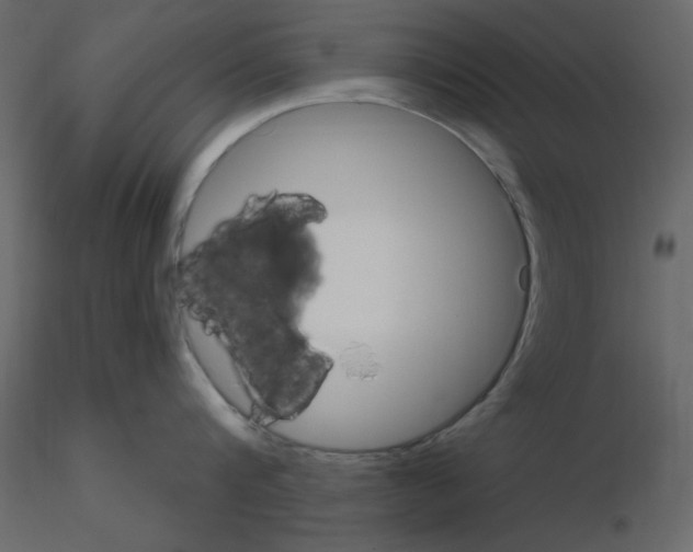 X0000115710816200912241542