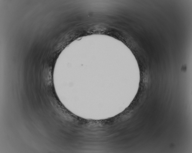 X0000115710818200912241542