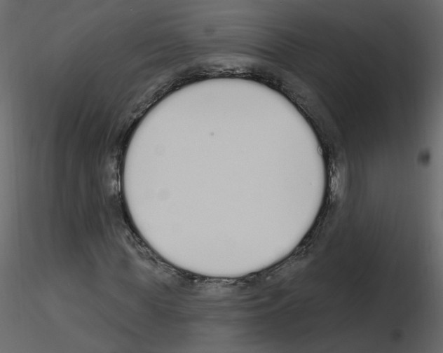 X0000115710819200912241542