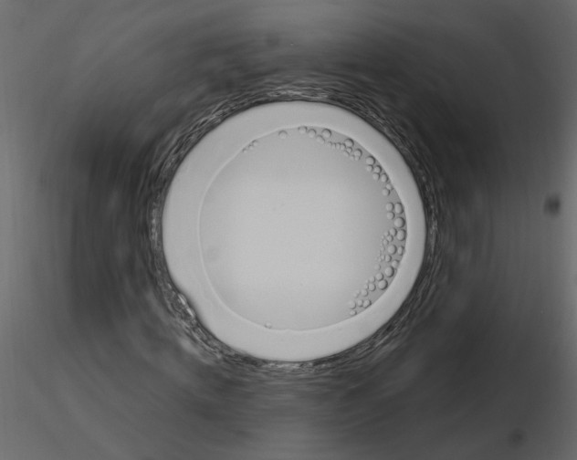 X0000115710820200912241542