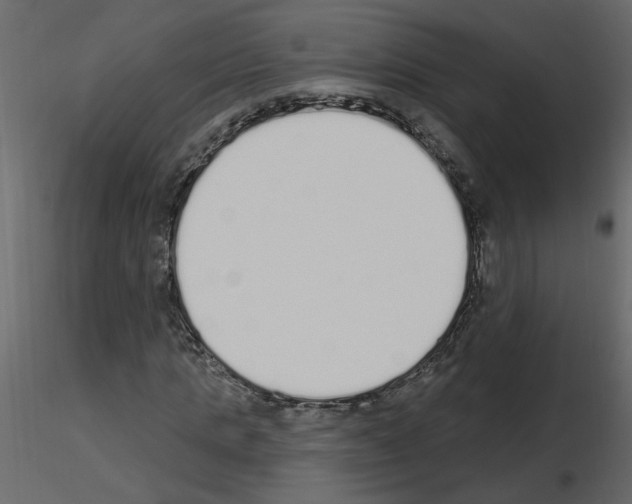 X0000115710821200912241542