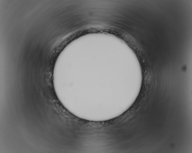 X0000115710822200912241542