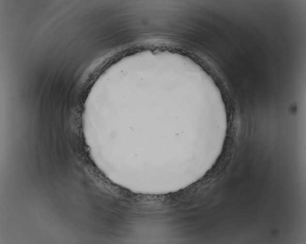 X0000115710823200912241542