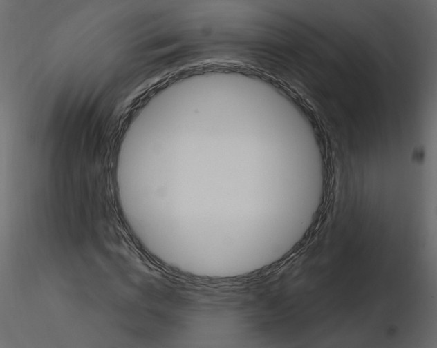 X0000115710824200912241542