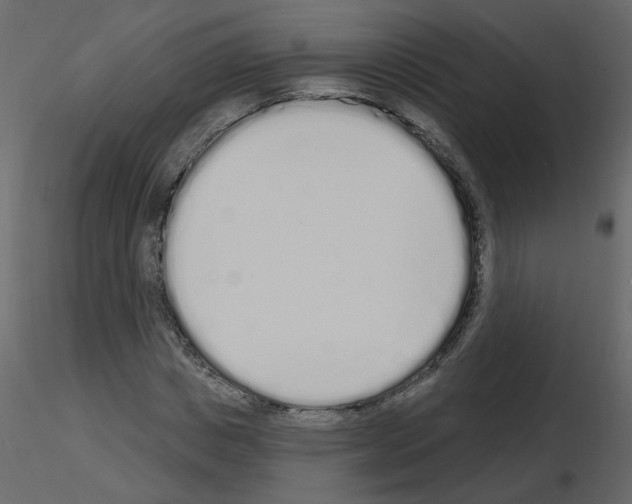 X0000115710825200912241542