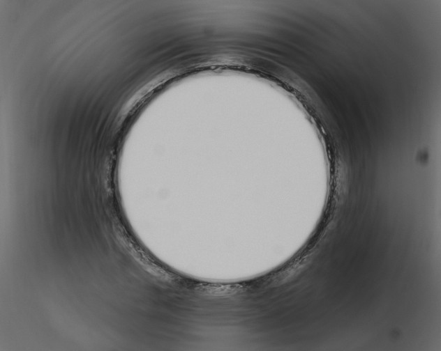 X0000115710826200912241542