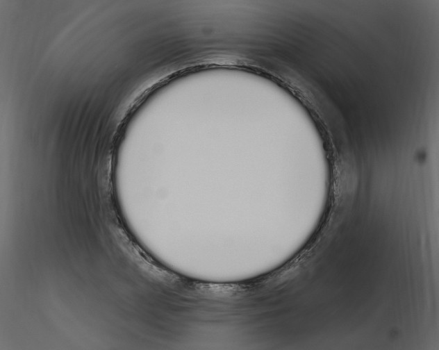 X0000115710831200912241542