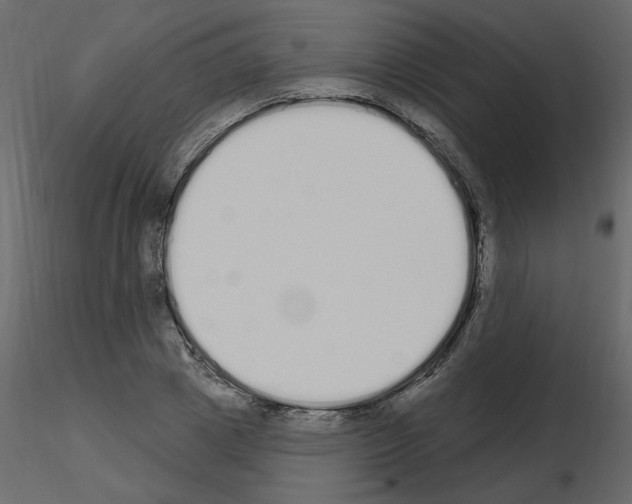 X0000115710833200912241542