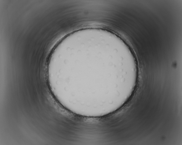 X0000115710835200912241542