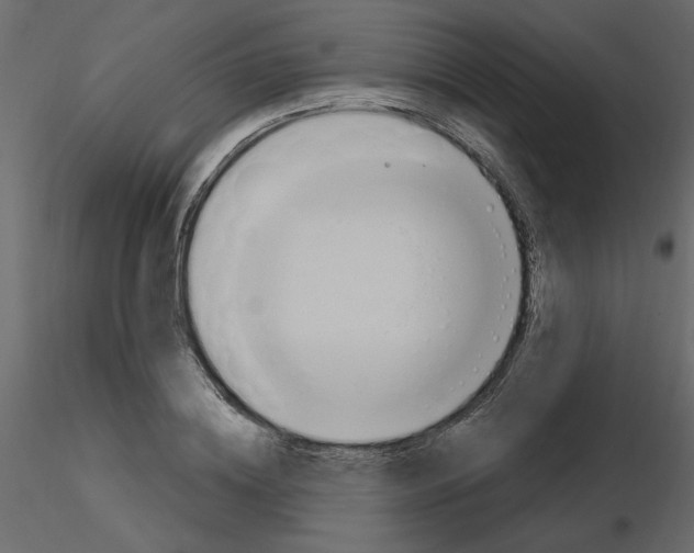 X0000115710836200912241542