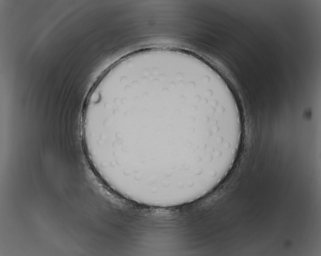 X0000115710839200912241542