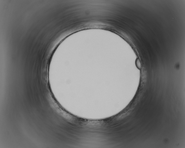 X0000115710843200912241542