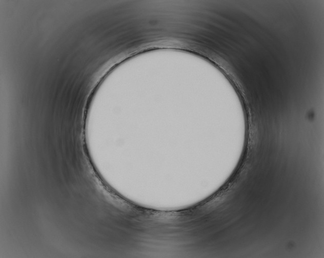 X0000115710845200912241542