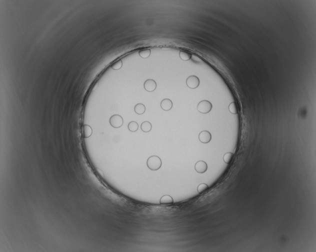 X0000115710847200912241542