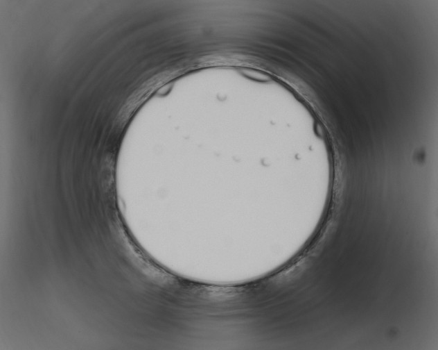 X0000115710849200912241542