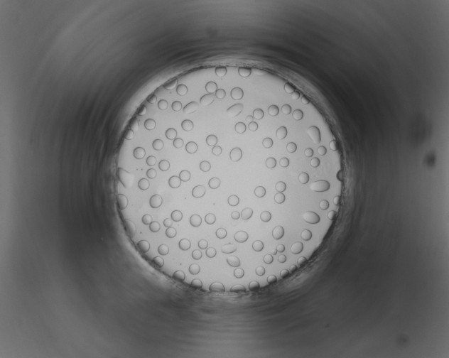 X0000115710855200912241542