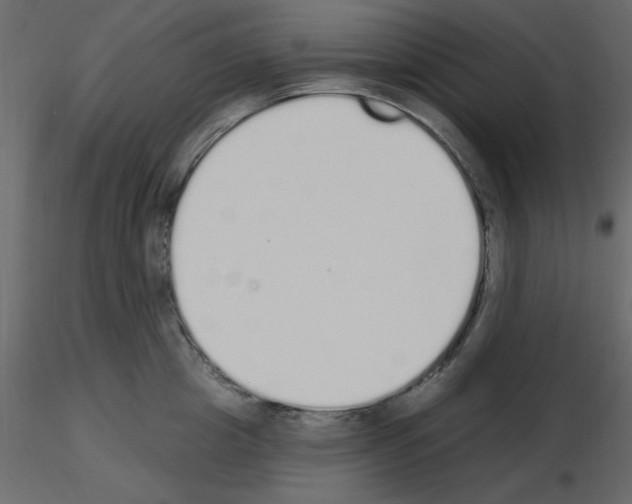 X0000115710857200912241542