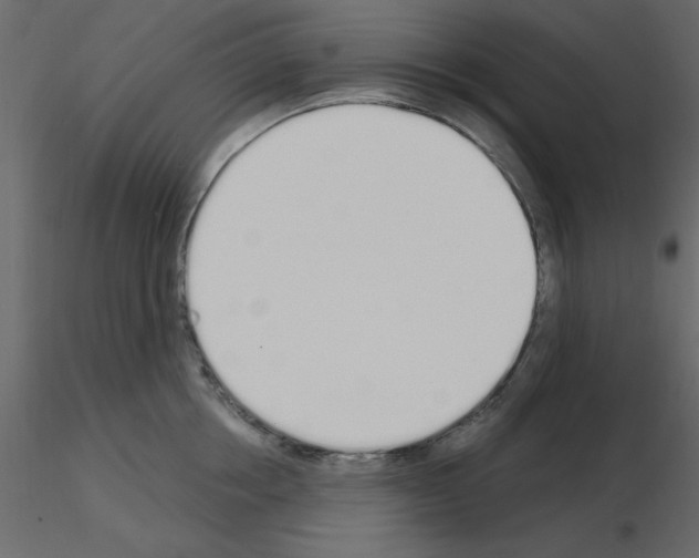 X0000115710858200912241542