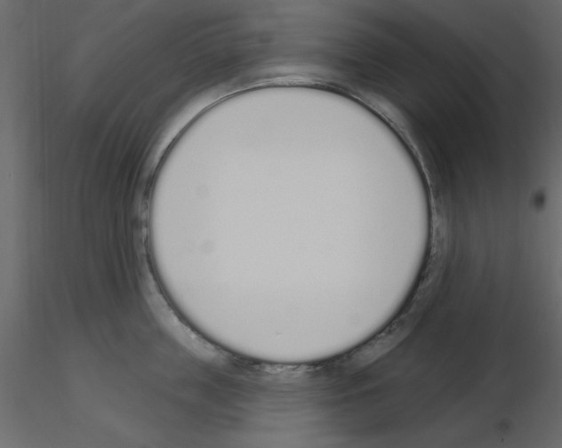 X0000115710859200912241542