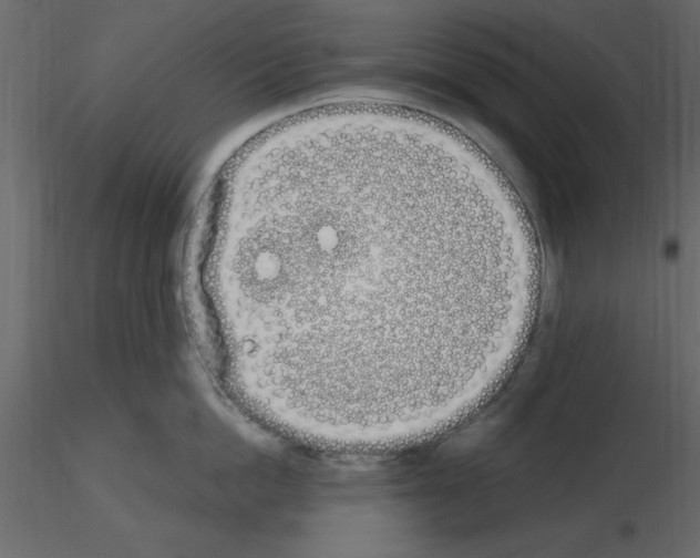 X0000115710862200912241542