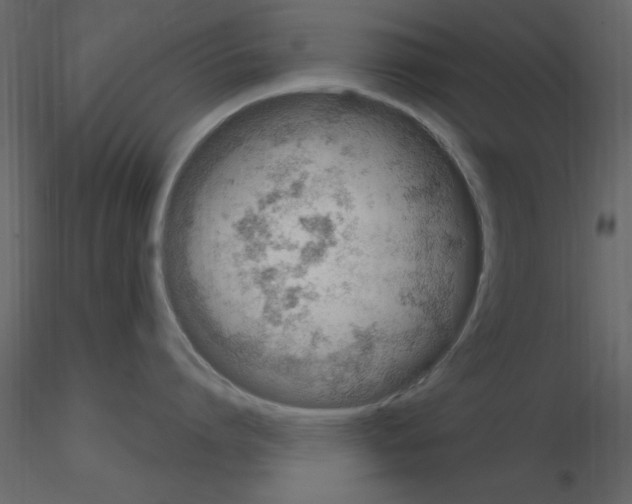 X0000115710864200912241542