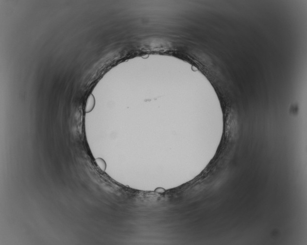 X0000115710866200912241542