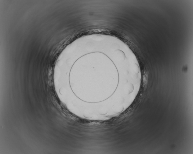 X0000115710867200912241542