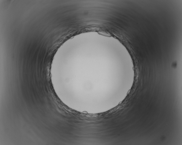 X0000115710868200912241542