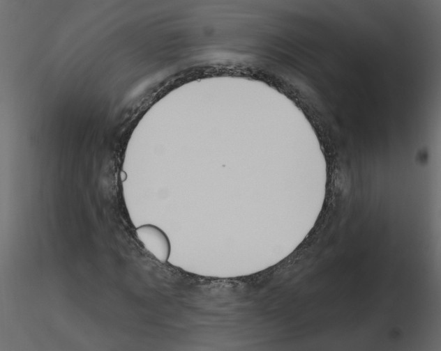 X0000115710869200912241542