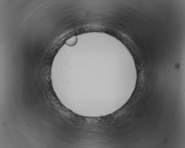 X0000115710870200912241541