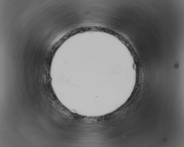 X0000115710871200912241541