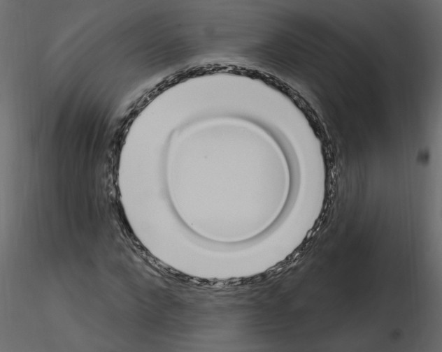 X0000115710872200912241541