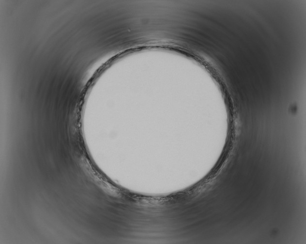 X0000115710875200912241541