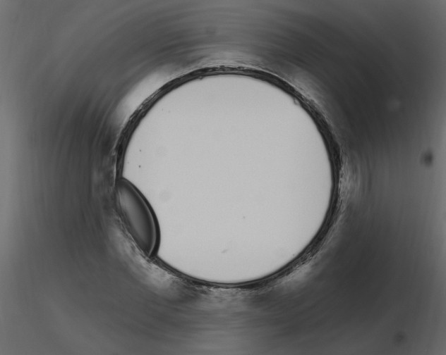 X0000115710877200912241541