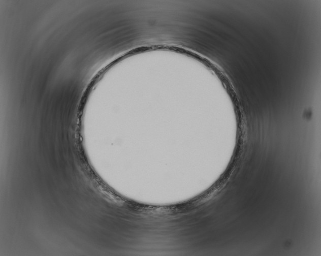 X0000115710879200912241541