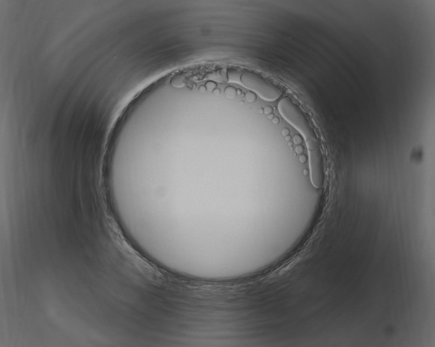 X0000115710880200912241541