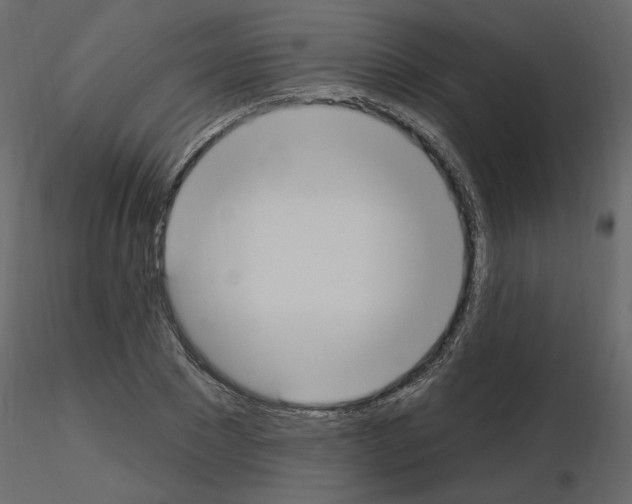 X0000115710881200912241541