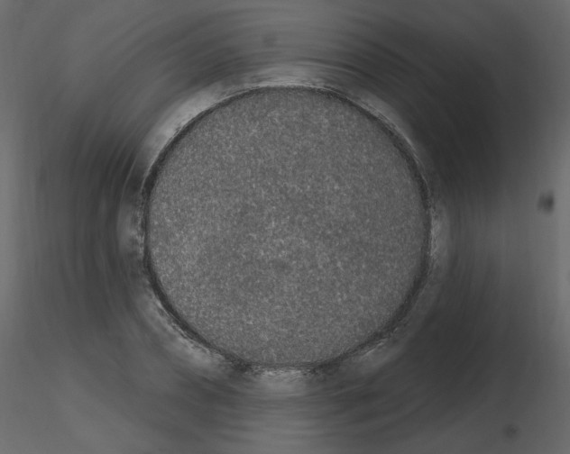 X0000115710882200912241541