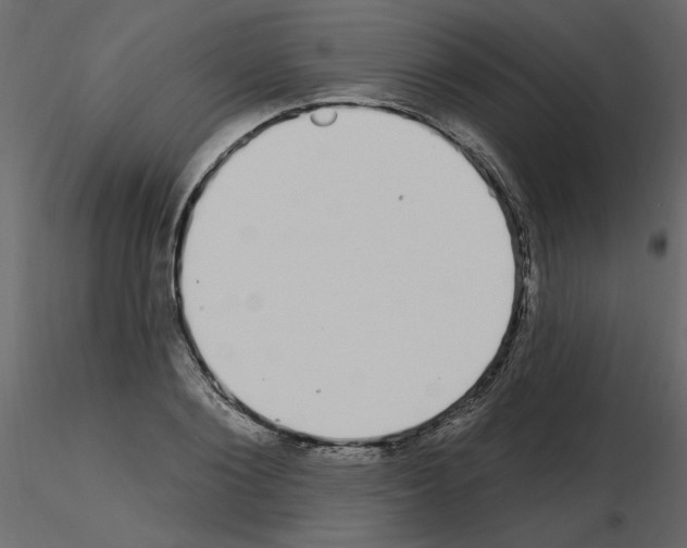 X0000115710884200912241541