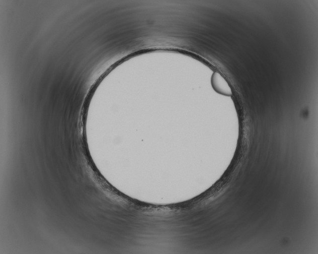 X0000115710885200912241541